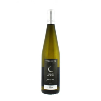 VINO BIANCO DOC MULLER THURGAU TERRAZZA LUNA 75 C