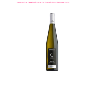 VINO BIANCO DOC PINOT GRIGIO TERRAZZE LUNA 75 CL