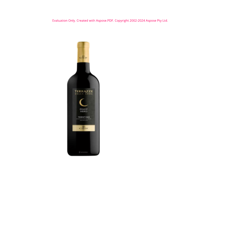 VINO ROSSO DOC PINOT NERO TERRAZZE LUNA 75 CL