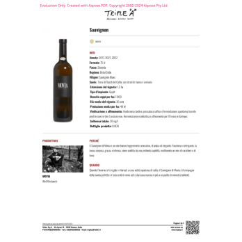 VINO BIANCO SAUVIGNON MOVIA 75 CL