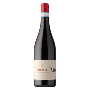 VINO ROSSO VALPOLICELLA SUPERIORE 2019 MUSELLA 75