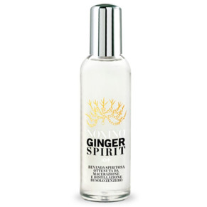 GINGERSPIRIT TWIST NONINO 100 ML