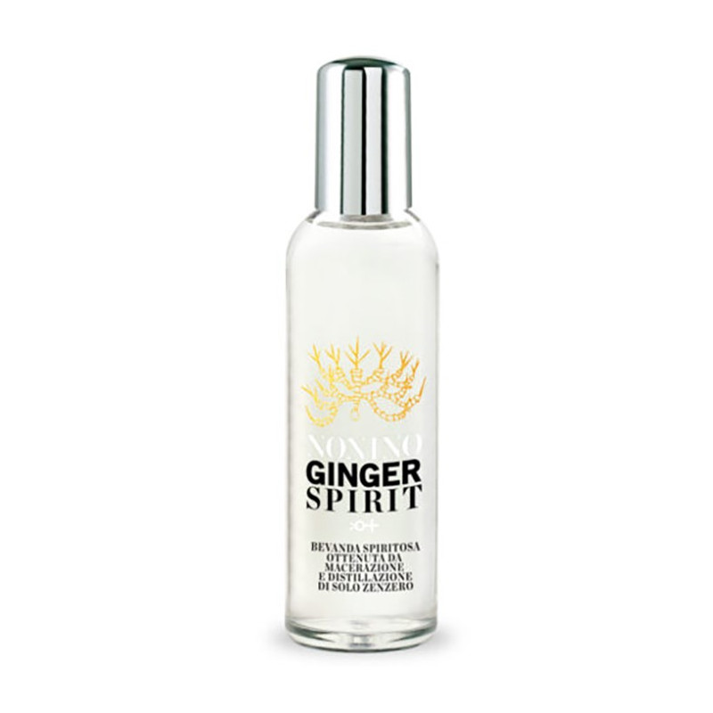 GINGERSPIRIT TWIST NONINO 100 ML