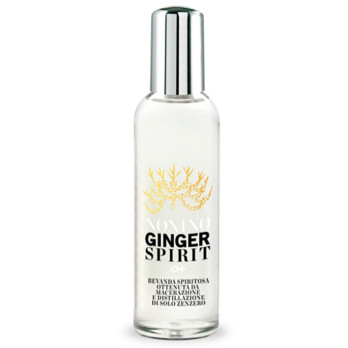 GINGERSPIRIT TWIST NONINO 100 ML