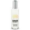 GINGERSPIRIT TWIST NONINO 100 ML