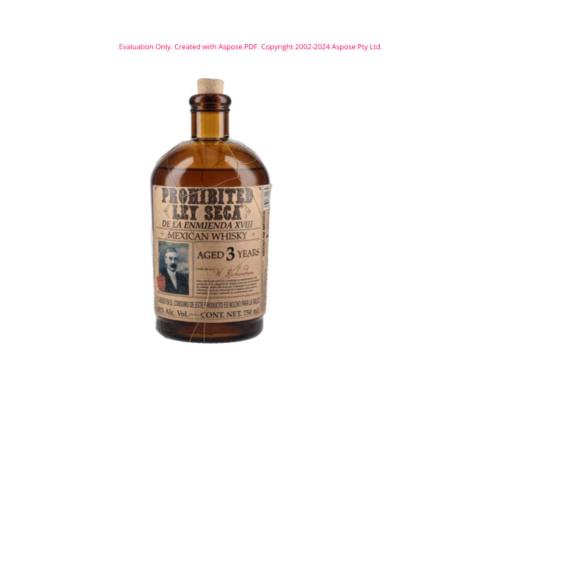 WHISKY PROHIBITED LEY SECA 700 ML