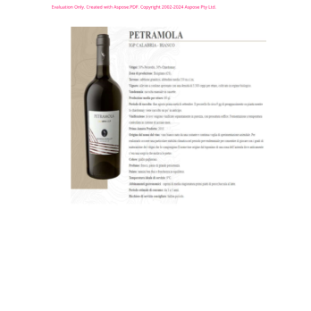 VINO BIANCO PETRAMOLA SERRACAVALLO 75 CL