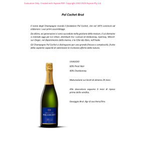 CHAMPAGNE BRUT POL COCHET MAJOLINI 75 CL