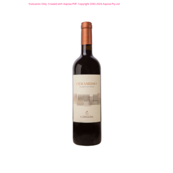 VINO ROSSO IGP CERAMIDIO CAPOANO 75 CL