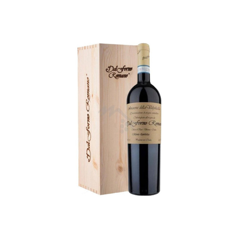 AMARONE DELLA VALPOLICELLA MAGNUM 2013 DAL FORNO 1