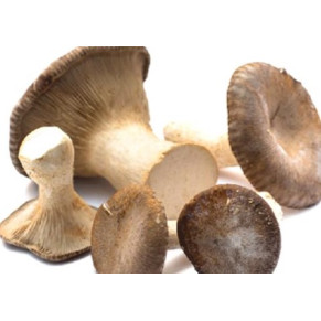 FUNGHI CARDONCELLO BELMONTE 314 ML