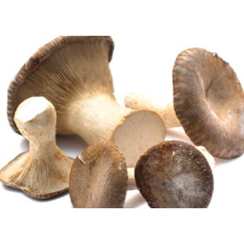 FUNGHI CARDONCELLO BELMONTE 314 ML