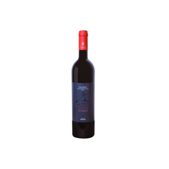 VINO ROSSO I.G.T GULIA CANTINA CAMPANA 750 ML