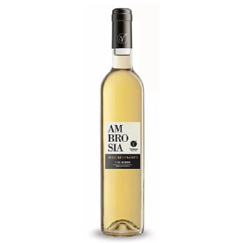 VINO BIANCO MOSCATO PASSITO AMBROSIA VERBICARO 50