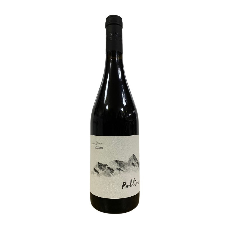 VINO ROSSO POLLINO CALABRESE 0,75 LT