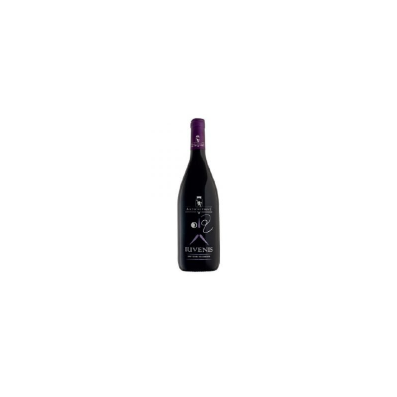 VINO ROSSO IUVENIS ANTICHE VIGNE 75 CL