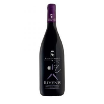 VINO ROSSO IUVENIS ANTICHE VIGNE 75 CL