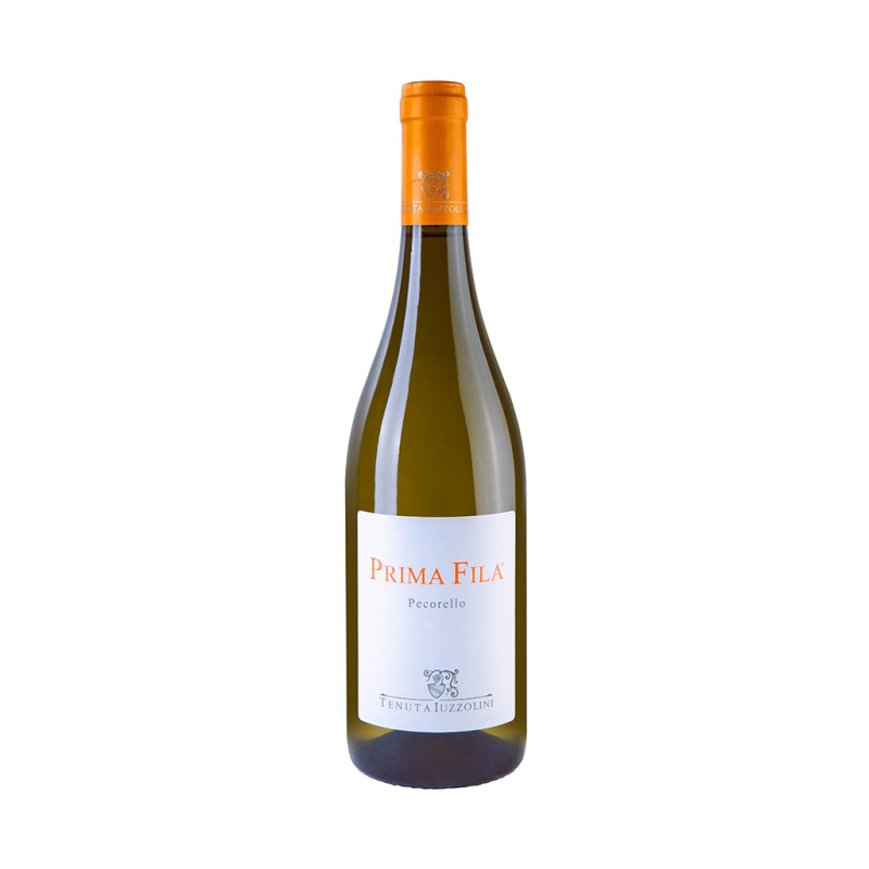 VINO BIANCO PRIMA FILA TENUTA IUZZOLINI 75 CL