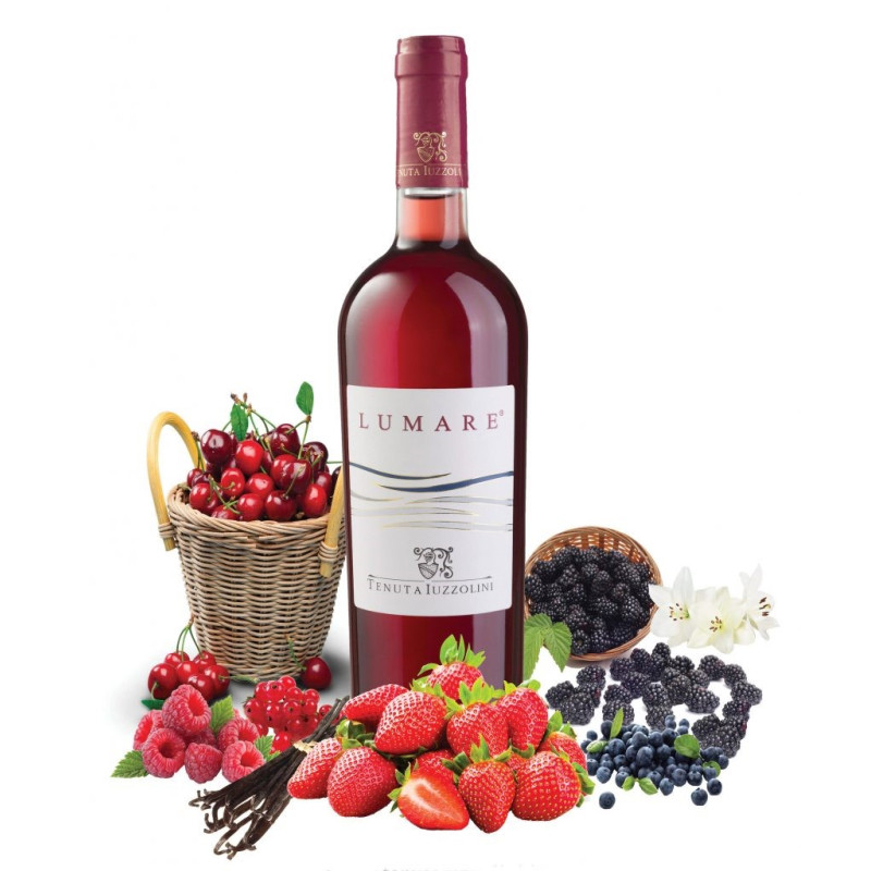 VINO ROSATO LUMARE IGT TENUTA IUZZOLINI 75 CL