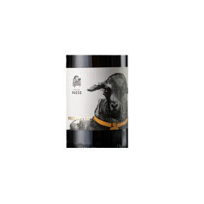 VINO BIANCO IGP PECORELLO TENUTE PAESE 0,75 LT