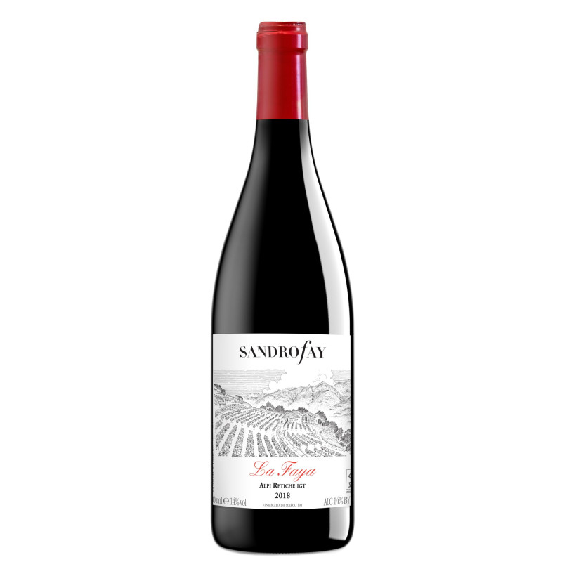 VINO ROSSO LA FAYA SANDRO FAY 75 CL