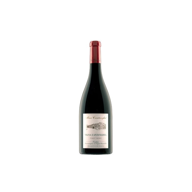 VINO ROSSO PINOT NERO MASO CANTANGHEL 75 CL