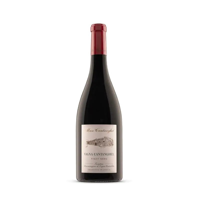 VINO ROSSO VIGNA CANTANGHEL MASO CANTANGHEL 75 CL