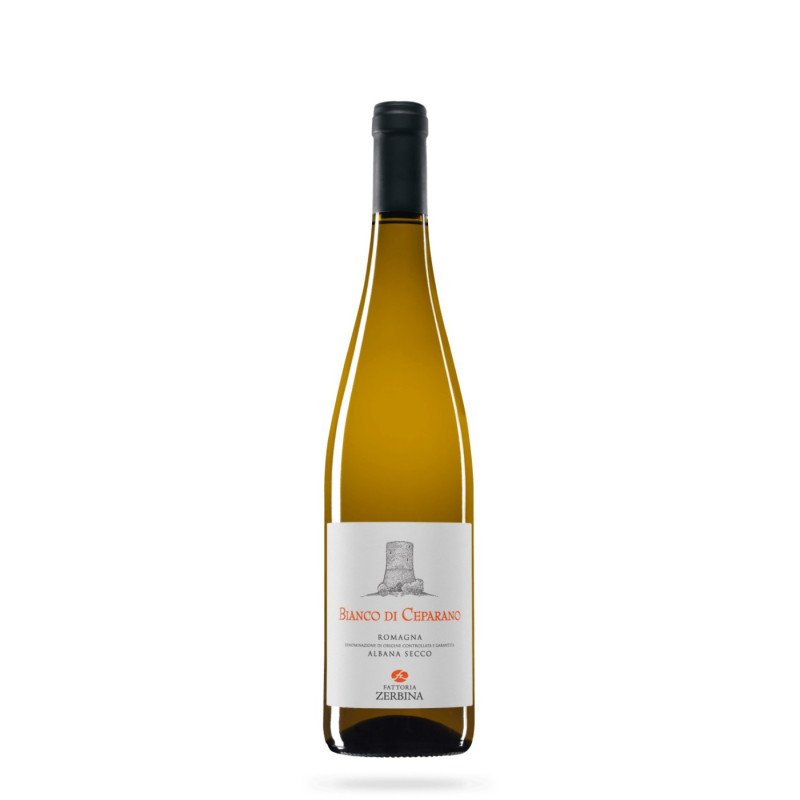 VINO BIANCO CEPARANO ZERBINA 75 CL