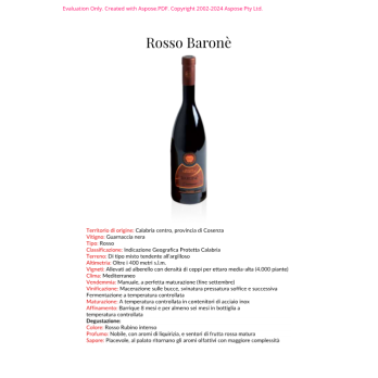 VINO ROSSO BARONE' MAGNA GRAECIA 75 CL