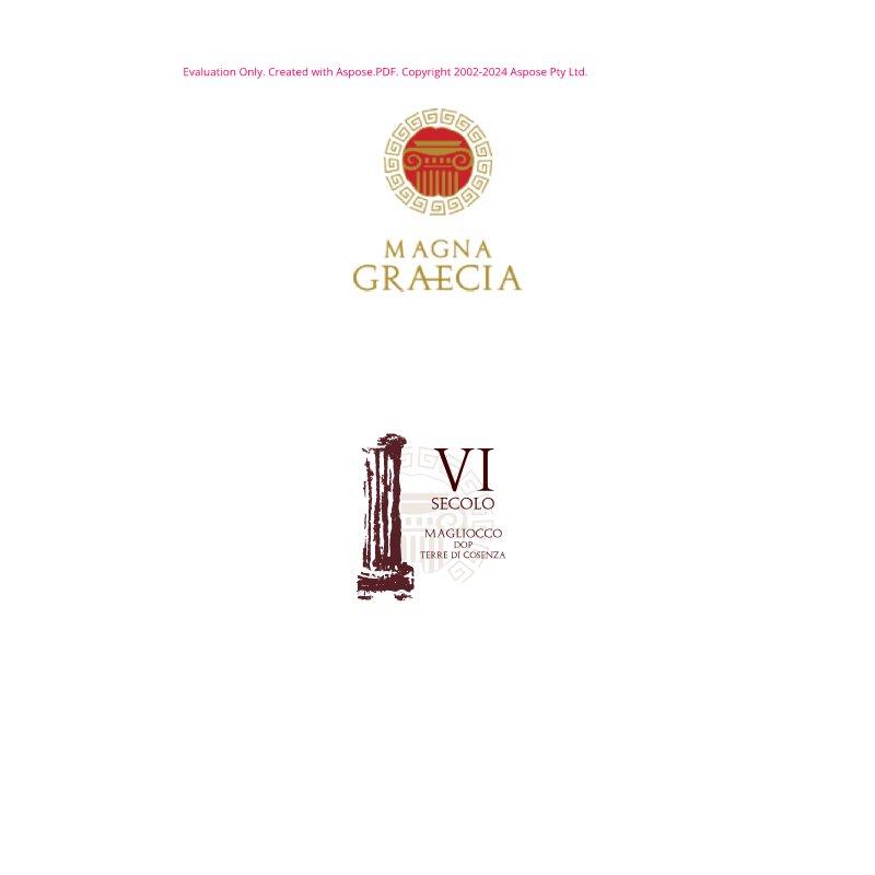 VINO ROSSO VI SECOLO MAGNA GRAECIA 75 CL