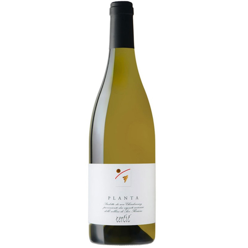VINO BIANCO PLANTA TERCIC 75 CL