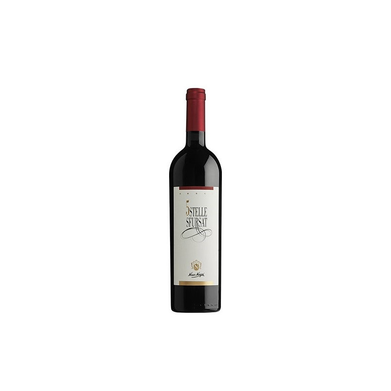 VINO ROSSO 5STELLE SFURSAT MAGNUM NINO NEGRI 1,5 L