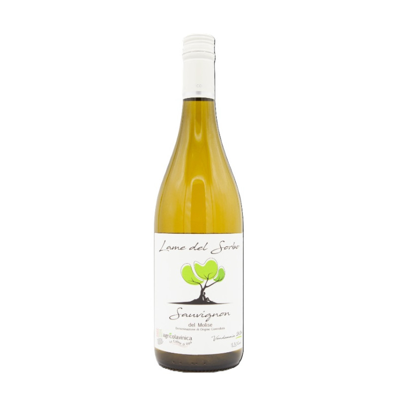 VINO BIANCO SAUVIGNON COLLINE DI RIPA 75 CL
