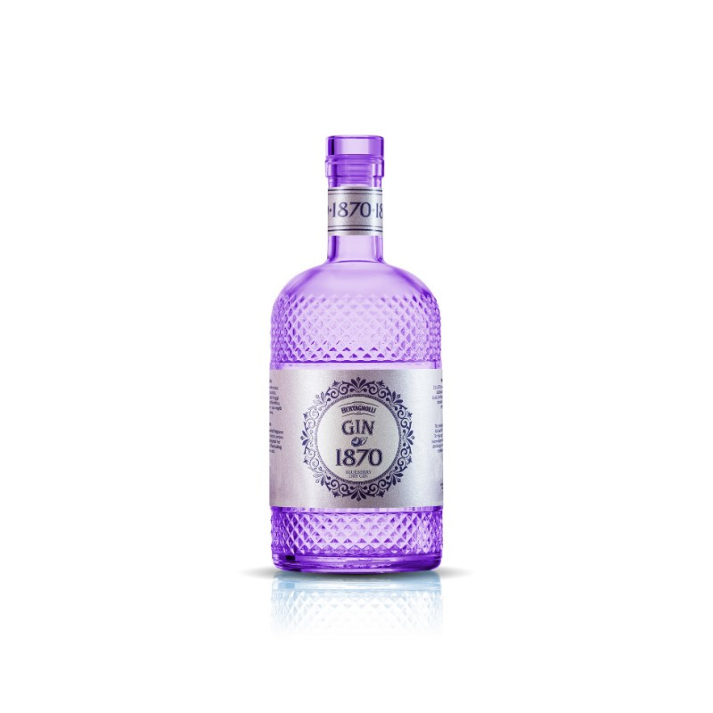 GIN 1870 BLUEBERRY DRY BERTAGNOLLI 70 CL