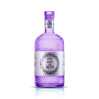 GIN 1870 BLUEBERRY DRY BERTAGNOLLI 70 CL