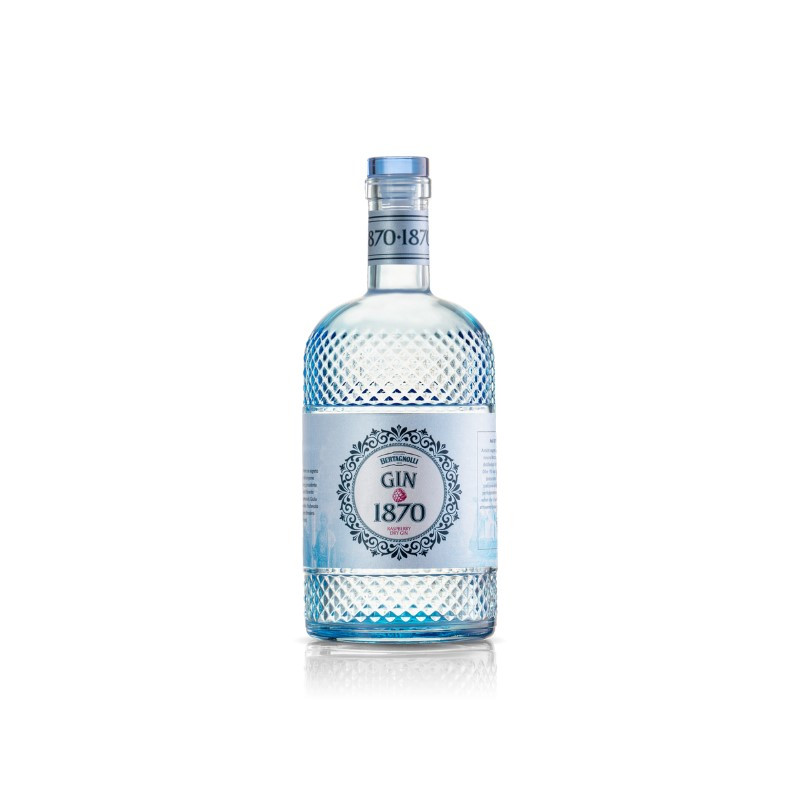 GIN 1870 RASPBERRY DRY BERTAGNOLLI 70 CL