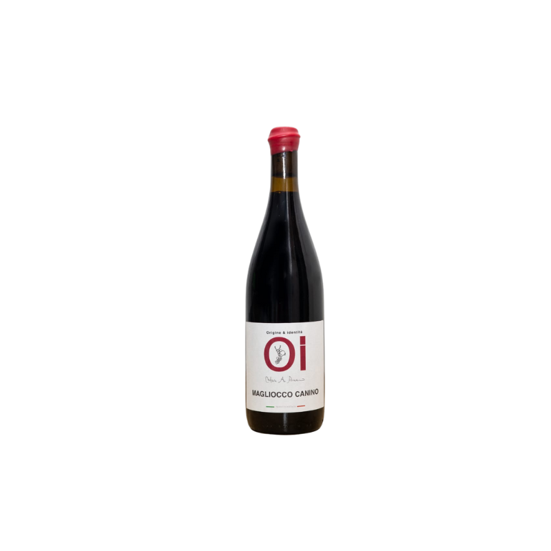 VINO ROSSO MAGLIOCCO CANINO ORIGINE&IDENTITA' 75