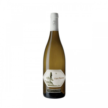 VINO BIANCO CAPO MARTINO JERMANN 75 CL