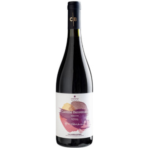 VINO ROSSO TERRA BENVENUTO 75 CL