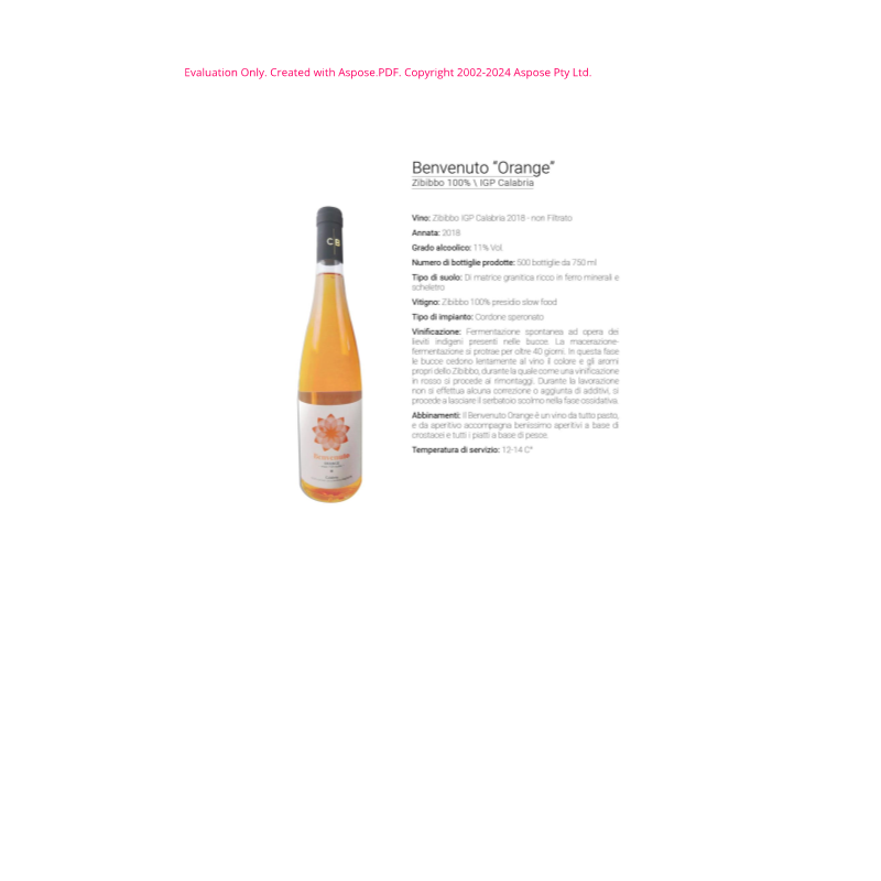 VINO BIANCO ZIBIBBO ORANGE BENVENUTO 75 CL