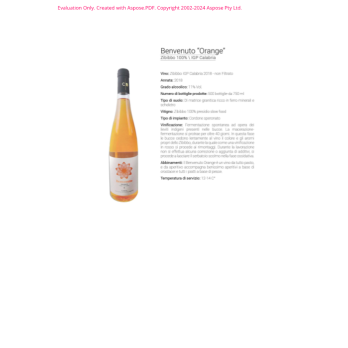 VINO BIANCO ZIBIBBO ORANGE BENVENUTO 75 CL