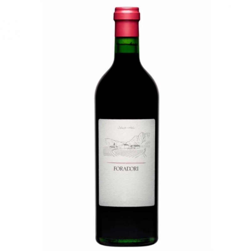 VINO ROSSO FORADORI TEROLDEGO FORADORI 75 CL