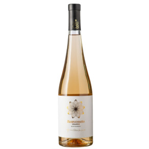 VINO BIANCO ZIBIBBO ORANGE BENVENUTO 75 CL