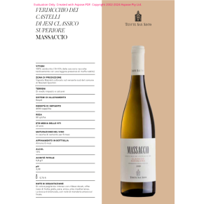 VINO MASSACCIO VERDICCHIO CASTELLI JESI TENUTE S.S