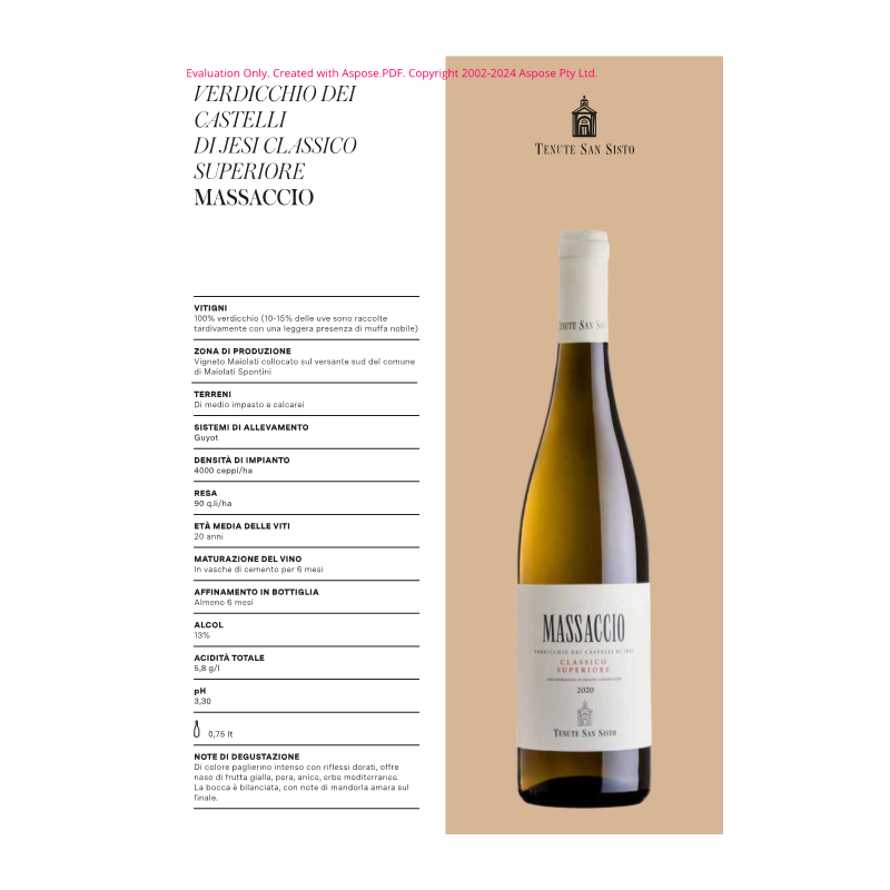 VINO MASSACCIO VERDICCHIO CASTELLI JESI TENUTE S.S