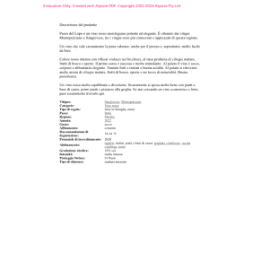 VINO ROSSO CONERO PASSO DEL LUPO TENUTE S.SISTO 75