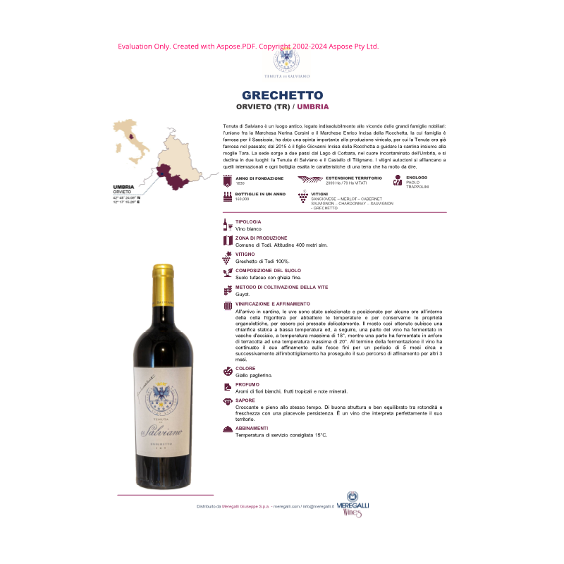 VINO BIANCO GRECHETTO TENUTA DI SALVIANO 75 CL