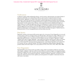 VINO ROSSO TIGNANELLO 2022 ANTINORI 75 CL