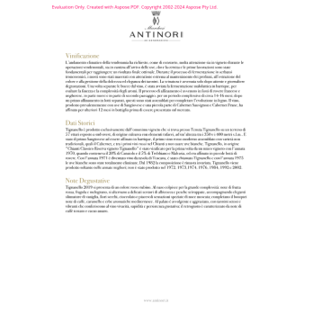 VINO ROSSO TIGNANELLO 2022 ANTINORI 75 CL