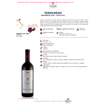 VINO ROSSO TEROLDEGO LETRARI 75 CL